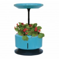 Coltura Idroponica GARDEN MACHINE Vaso Coltivazione Orto Fiori Piante in Casa