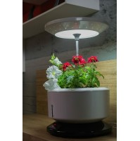 Coltura Idroponica GARDEN MACHINE Vaso Coltivazione Orto Fiori Piante in Casa