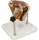 Porta Prosciutto Morsa Ferma Portaprosciutto Crudo Cotto BRANDANI Inox