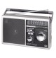 Radio Cassa Portatile Multibanda Trevi Silver Argento Bluetooth a Batteria