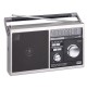 Radio Cassa Portatile Multibanda Trevi Silver Argento Bluetooth a Batteria