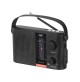 Radio Portatile Multibanda a Energia Solare Trevi RA 7F25 BT Nera Bluetooth