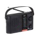 Radio Portatile Multibanda a Energia Solare Trevi RA 7F25 BT Nera Bluetooth