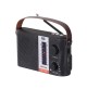 Radio Portatile Multibanda a Energia Solare Trevi RA 7F25 BT Nera Bluetooth